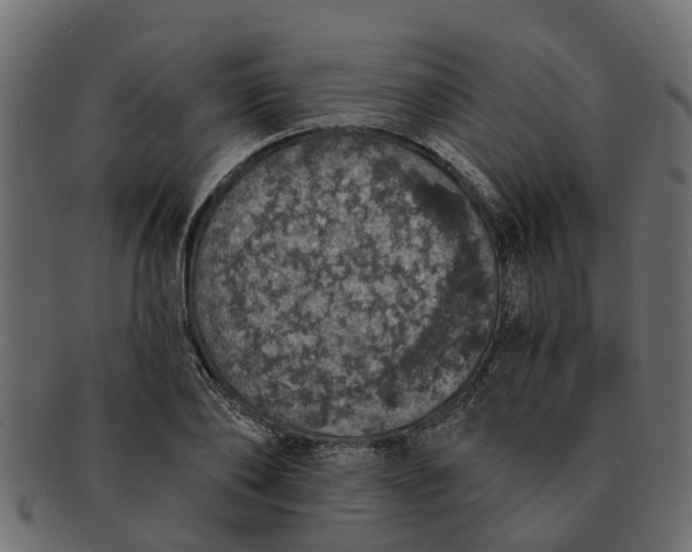 X0000091550886200709071214