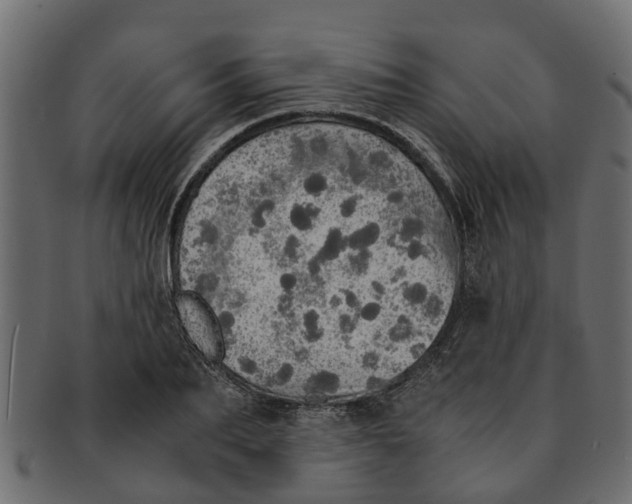 X0000091550887200709071214