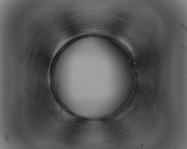 X0000091550888200709071214