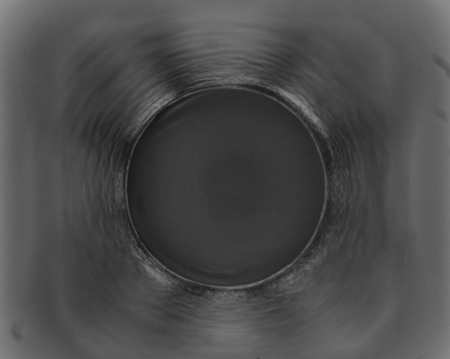 X0000091550889200709071214