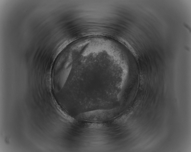 X0000091550890200709071214