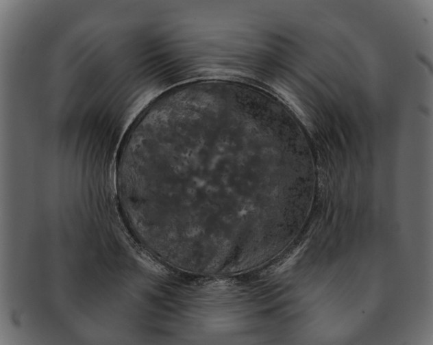 X0000091550891200709071214