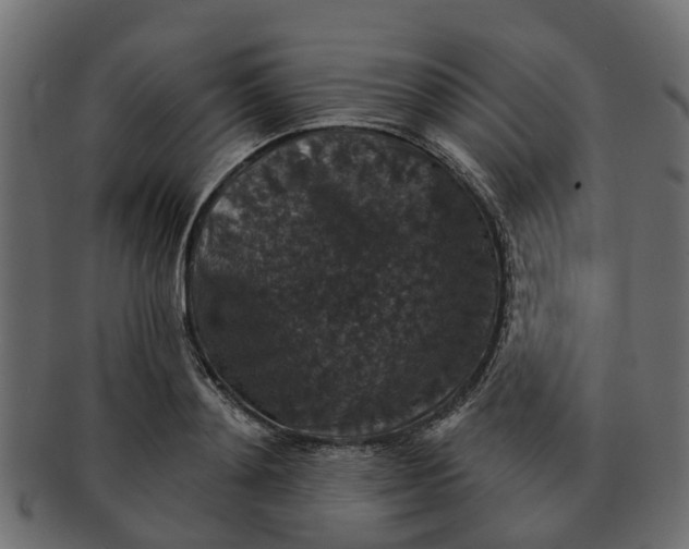 X0000091550892200709071214