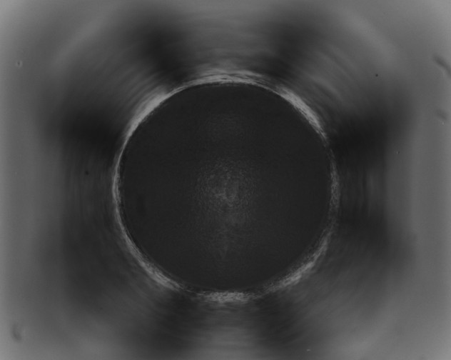 X0000091550893200709071214