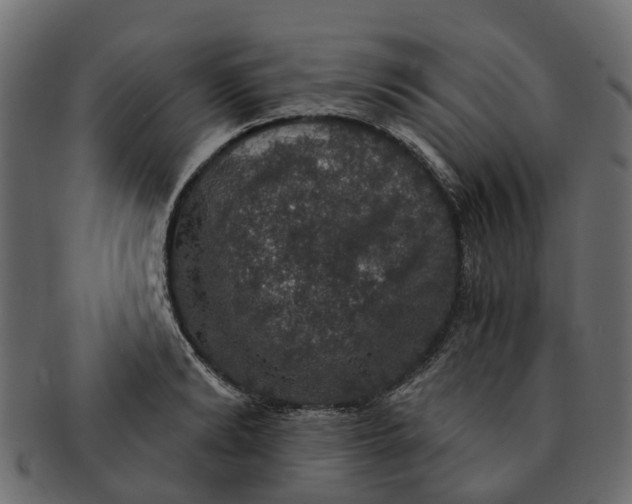 X0000091550894200709071214