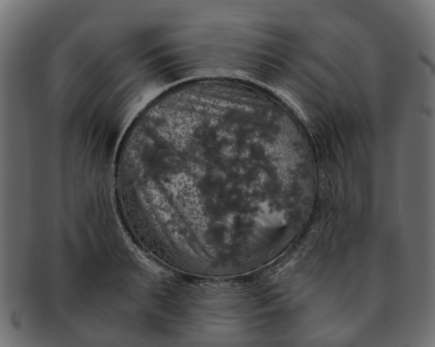 X0000091550895200709071214