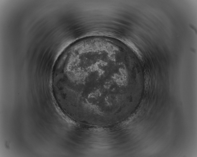 X0000091550896200709071214