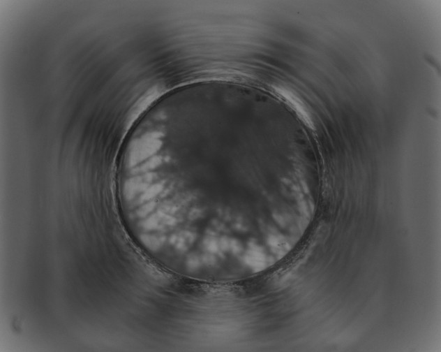 X0000091550899200709071214