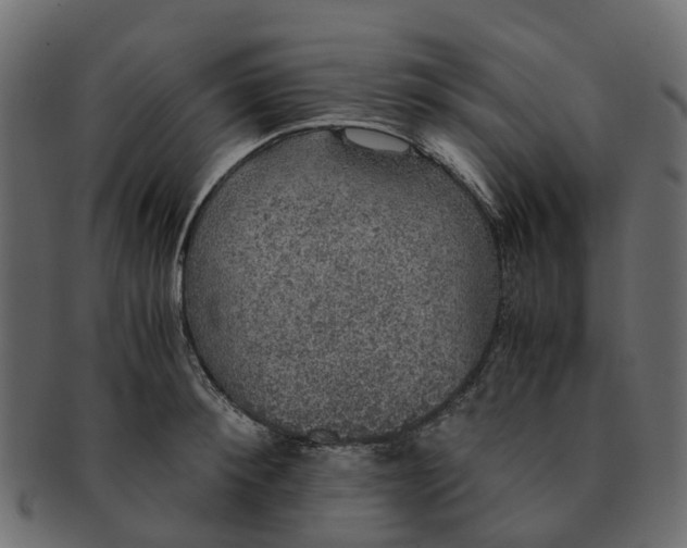 X0000091550900200709071214