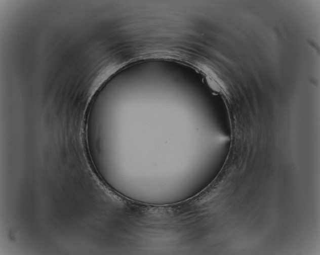 X0000091550901200709071214