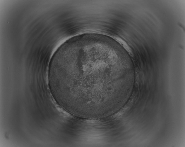 X0000091550904200709071213