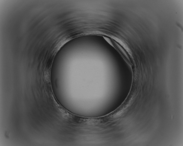 X0000091550905200709071213