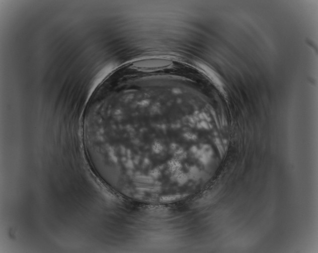 X0000091550907200709071213