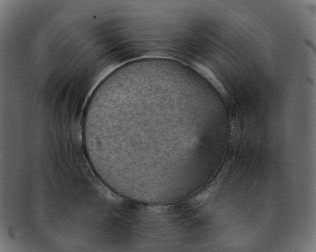 X0000091550908200709071213