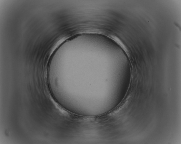 X0000091550909200709071213