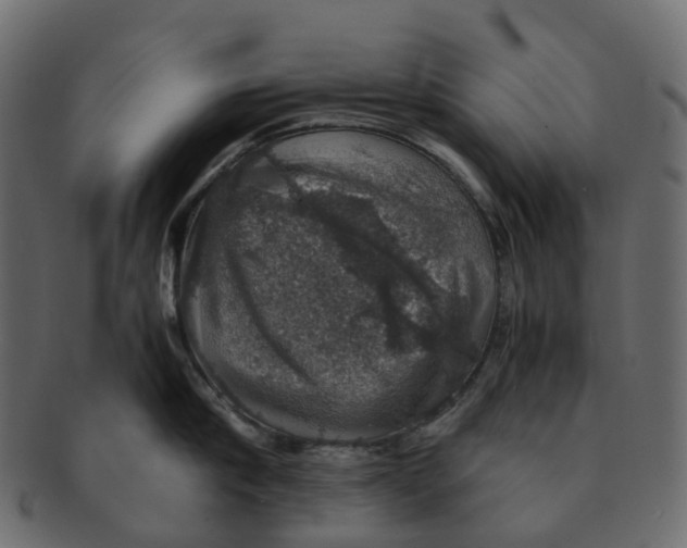 X0000091550910200709071213
