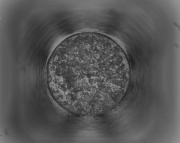 X0000091550911200709071213