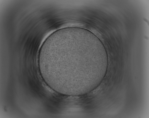 X0000091550912200709071213