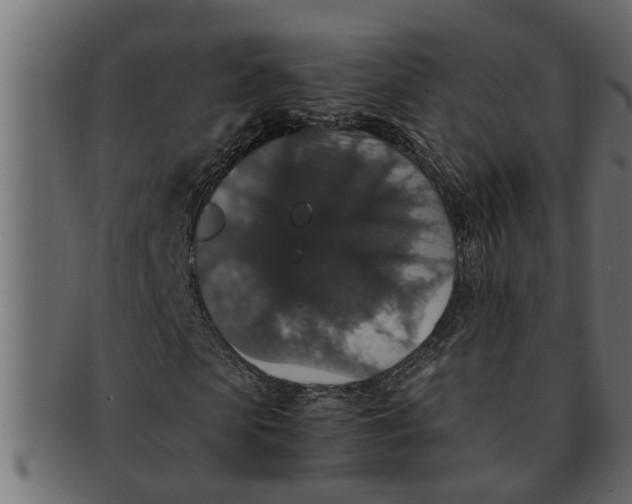 X0000091550913200709071213