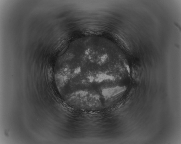 X0000091550915200709071213