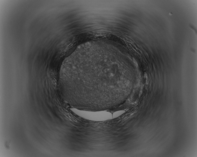 X0000091550916200709071213