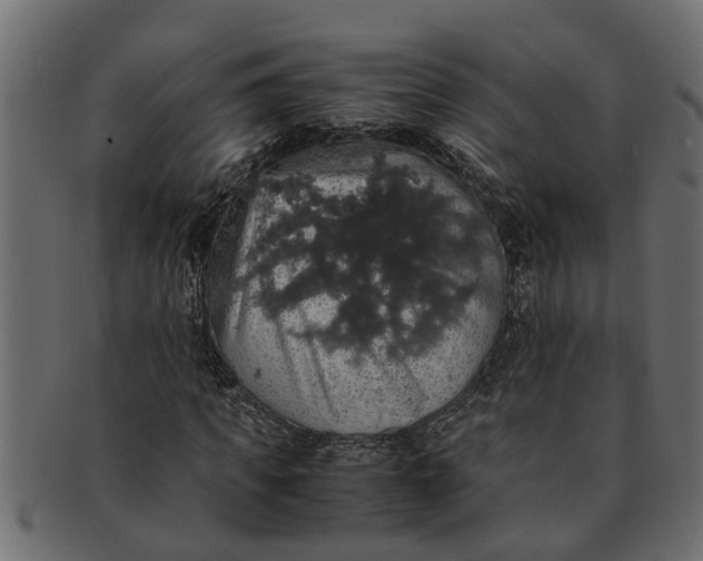 X0000091550917200709071213