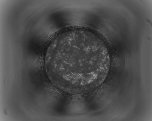 X0000091550918200709071213