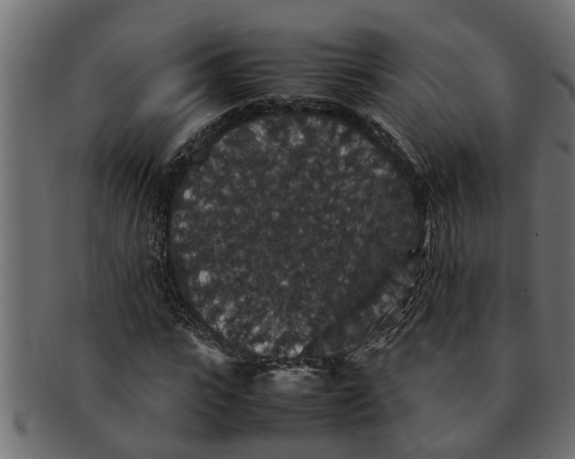 X0000091550919200709071213