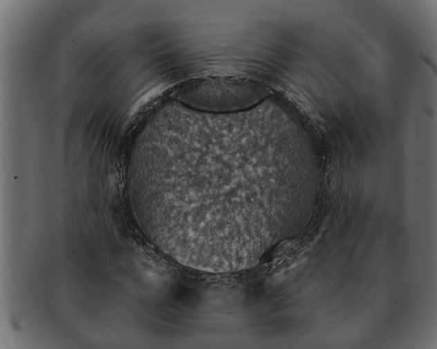 X0000091550920200709071213