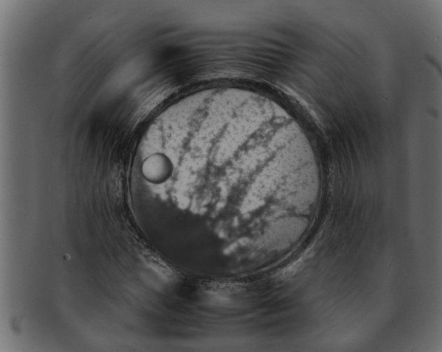 X0000091550921200709071213