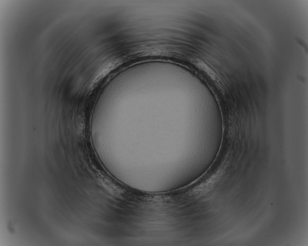 X0000091550922200709071213