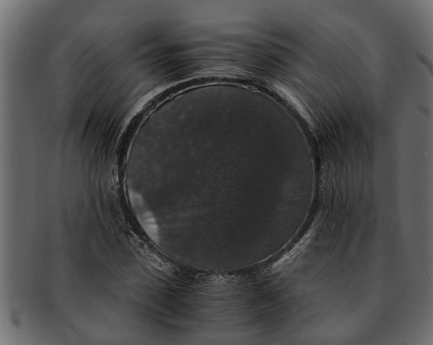 X0000091550923200709071213