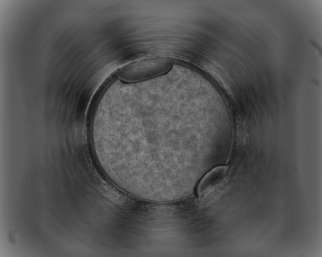X0000091550924200709071213