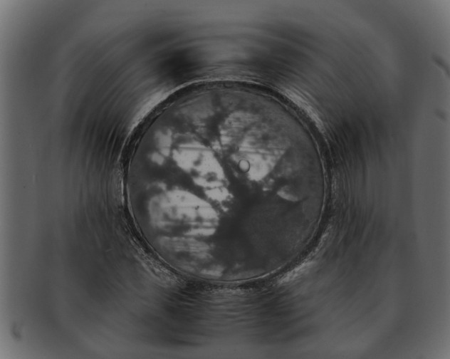 X0000091550925200709071213