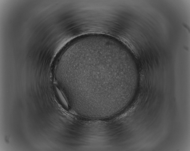 X0000091550926200709071213