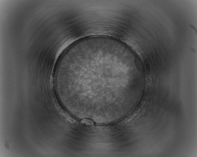 X0000091550928200709071213