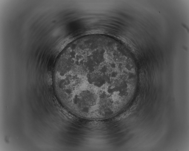 X0000091550929200709071213