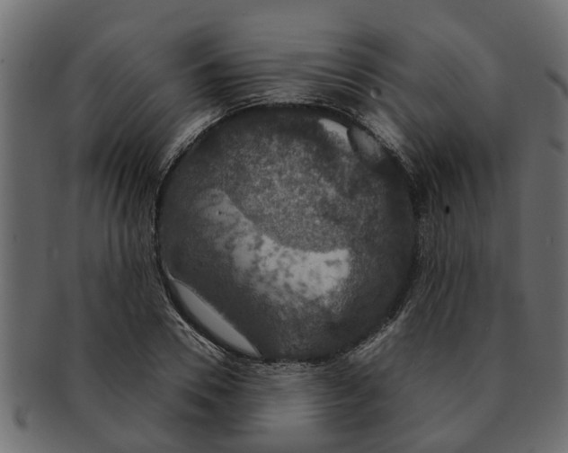 X0000091550930200709071213