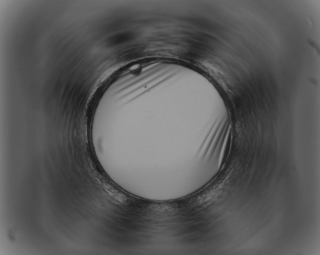 X0000091550931200709071213