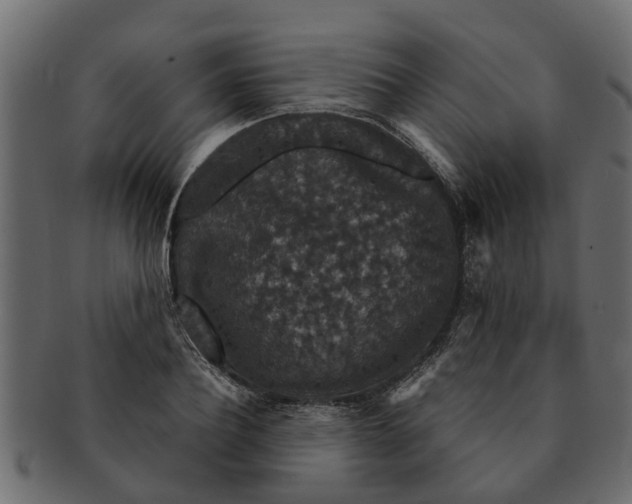 X0000091550932200709071213
