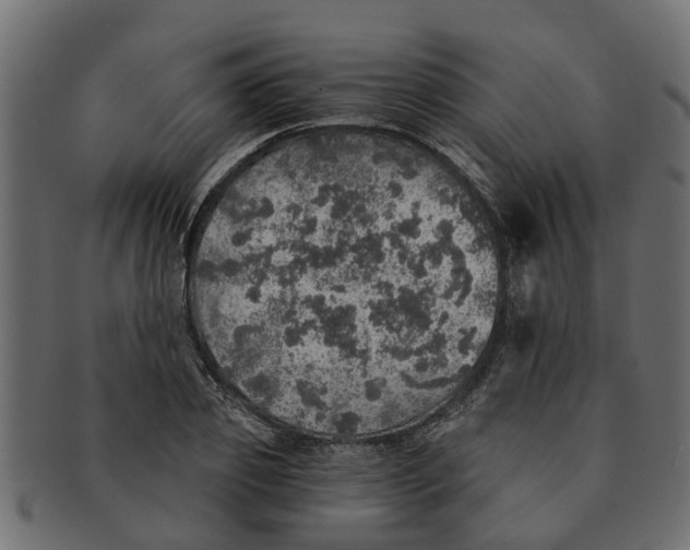 X0000091550933200709071213