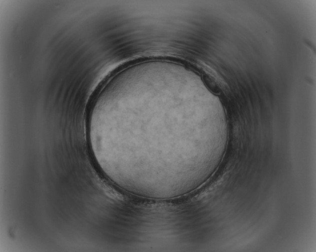 X0000091550934200709071213