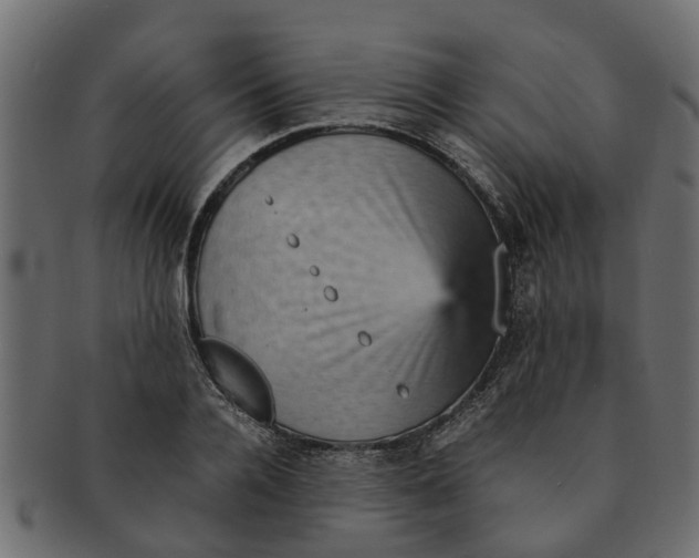 X0000091550936200709071213