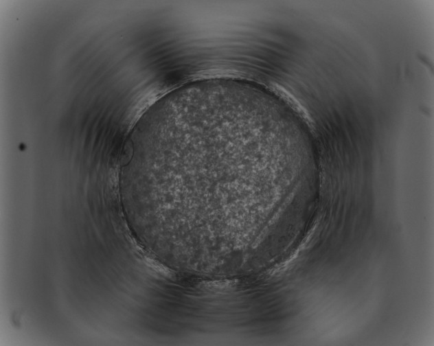 X0000091550937200709071213