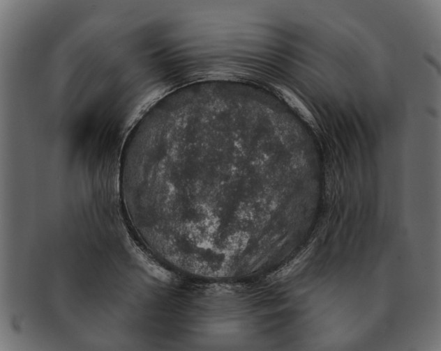 X0000091550938200709071213