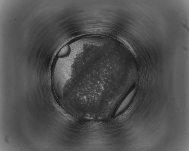 X0000091550939200709071213