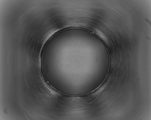 X0000091550940200709071213