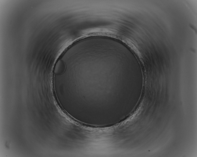 X0000091550941200709071213