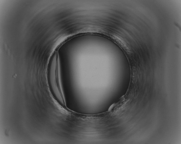 X0000091550942200709071213