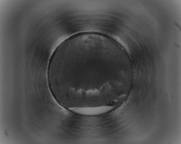 X0000091550943200709071213
